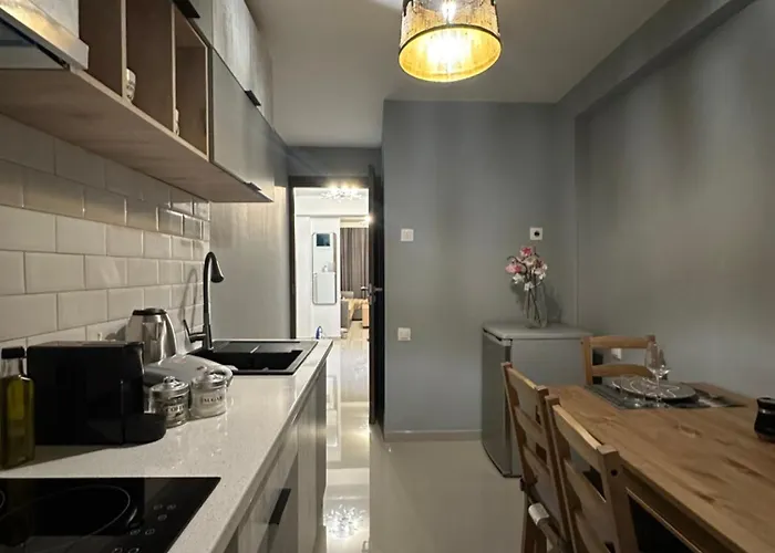 Διαμέρισμα Modis *